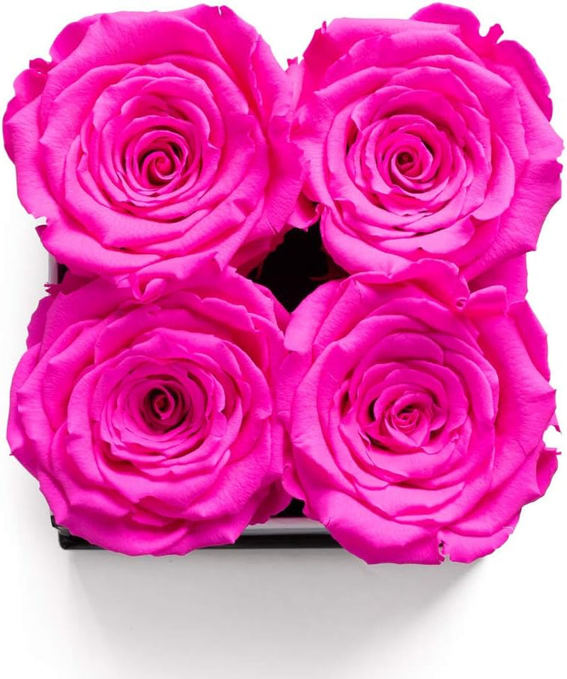 | Roses in a Box | Genuine Roses That Last for Years (White Square 4Ct, Radiant Pink) | Mothers Day Gifts