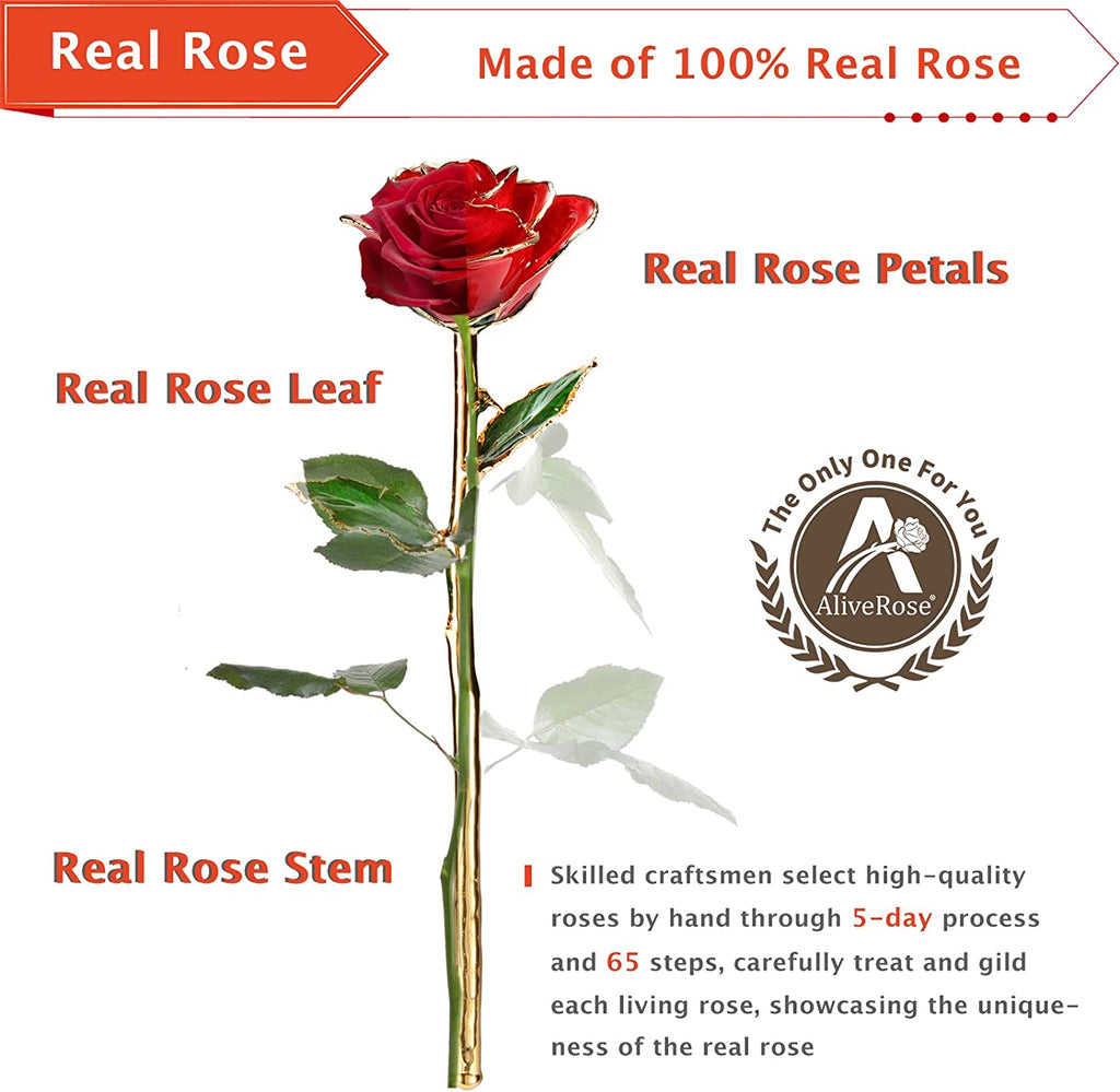 24K Gold Rose in Dipped,24K Gold Real Rose Gift for Her, Long Stem Rose Made from Real Gold Rose for Anniversary Valentines Mothers Day Birthday (Deep Blue with Crystal Vase)