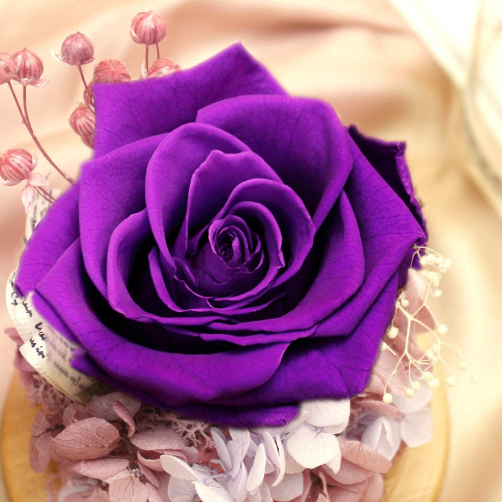 Handmade Delivery Gift Preserved Rose in Glass Dome - Artificial Flowers Creative Gifts for Friend or Women and Family on Valentine'S Day,Chrismas,Birthday,Relationship Gifts for They.(Voilet)